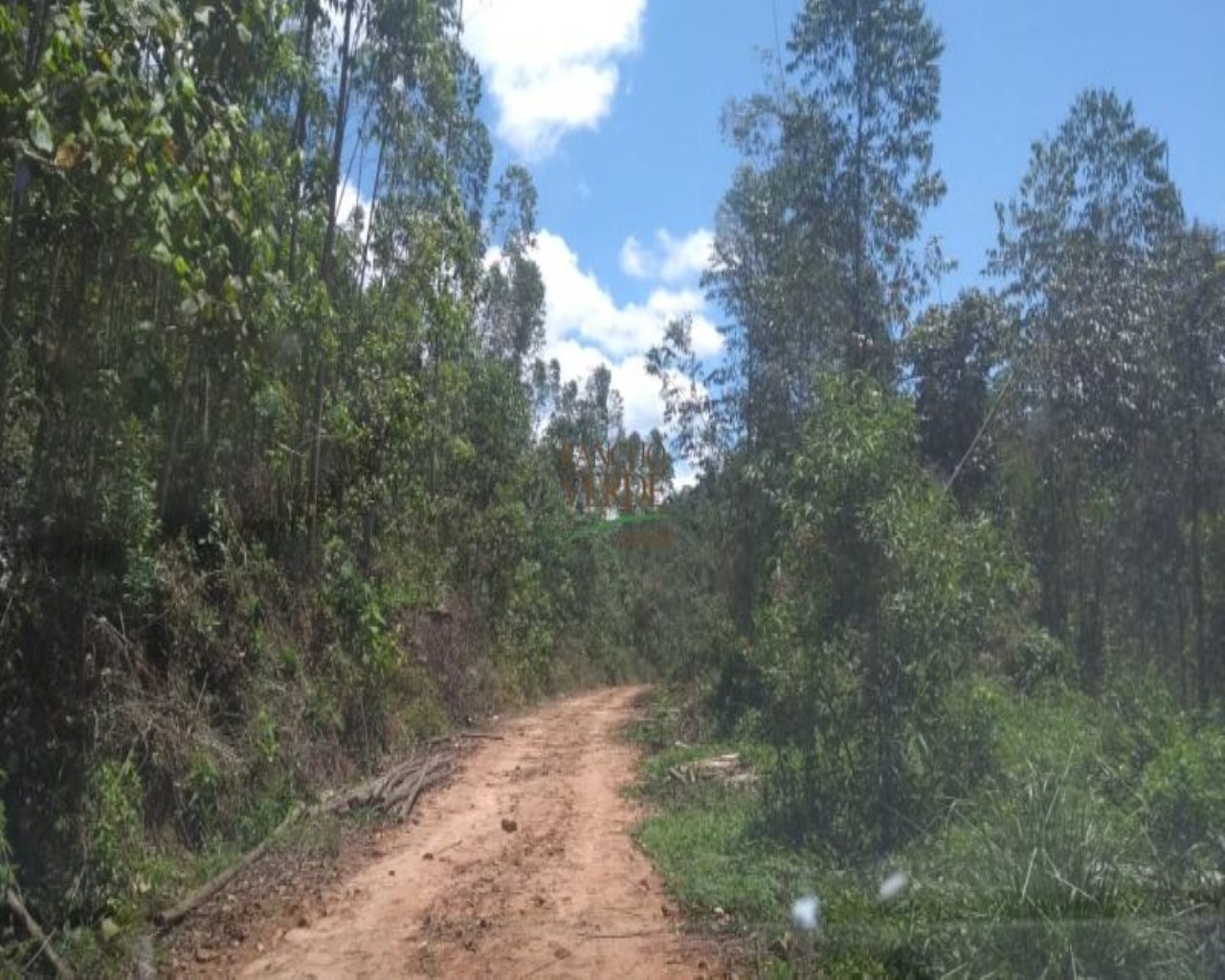 Terreno de 19 ha em Monteiro Lobato, SP