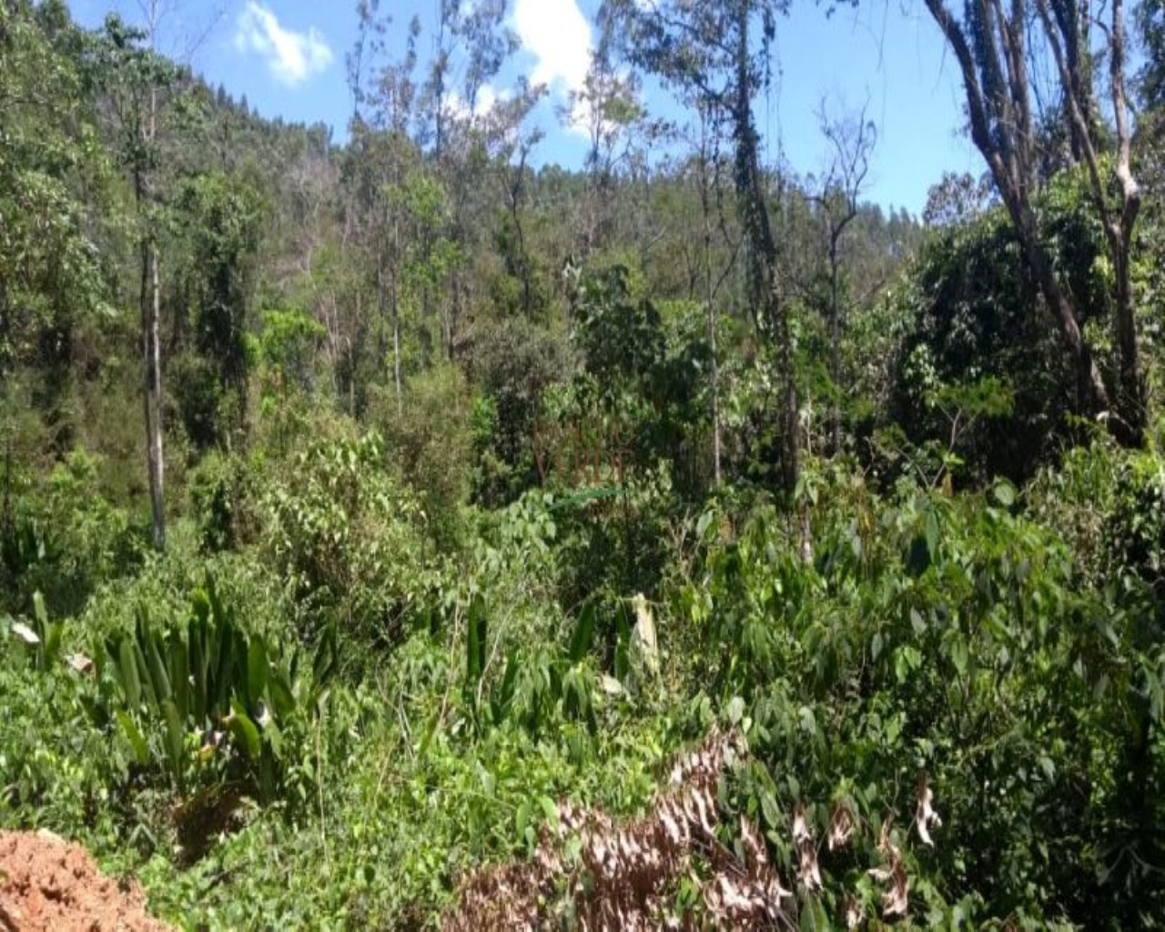 Terreno de 19 ha em Monteiro Lobato, SP