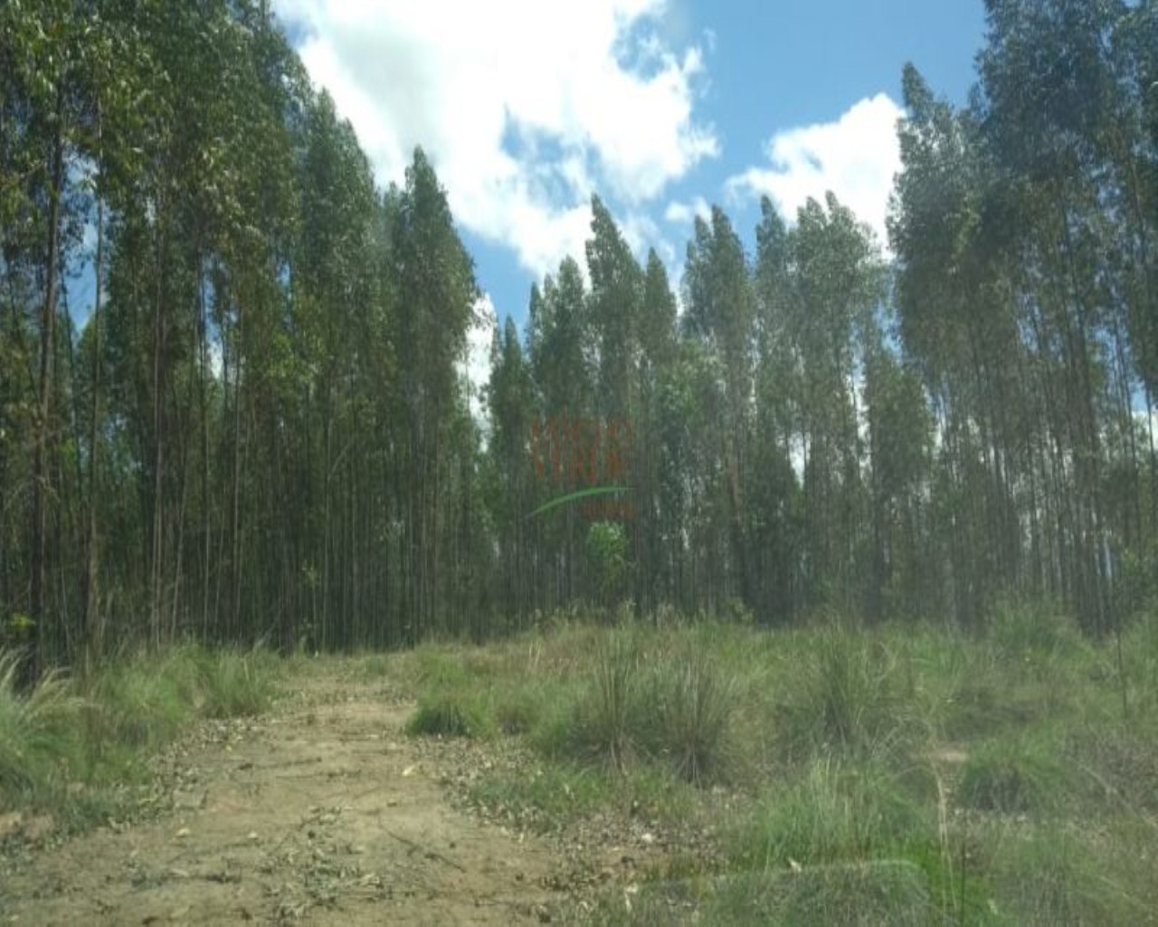 Terreno de 19 ha em Monteiro Lobato, SP