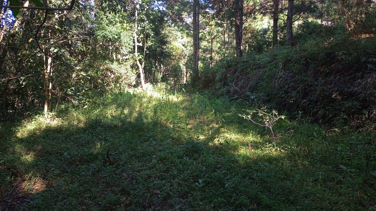 Terreno de 7 ha em São José dos Campos, SP