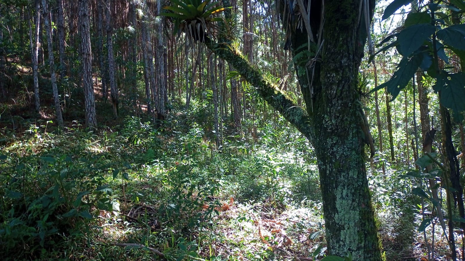 Terreno de 7 ha em São José dos Campos, SP