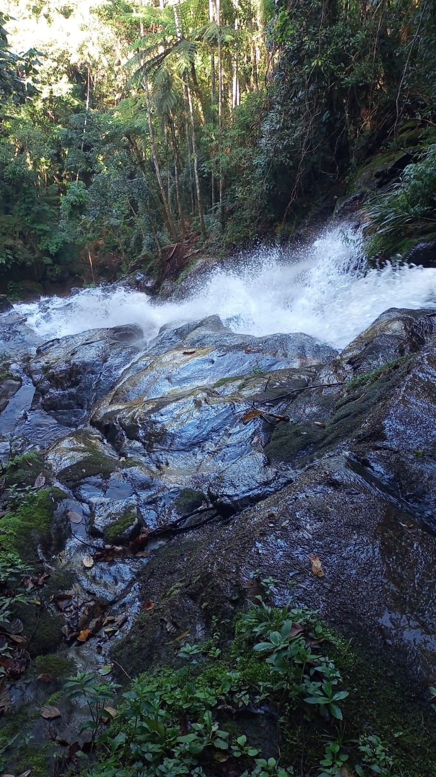 Terreno de 7 ha em São José dos Campos, SP