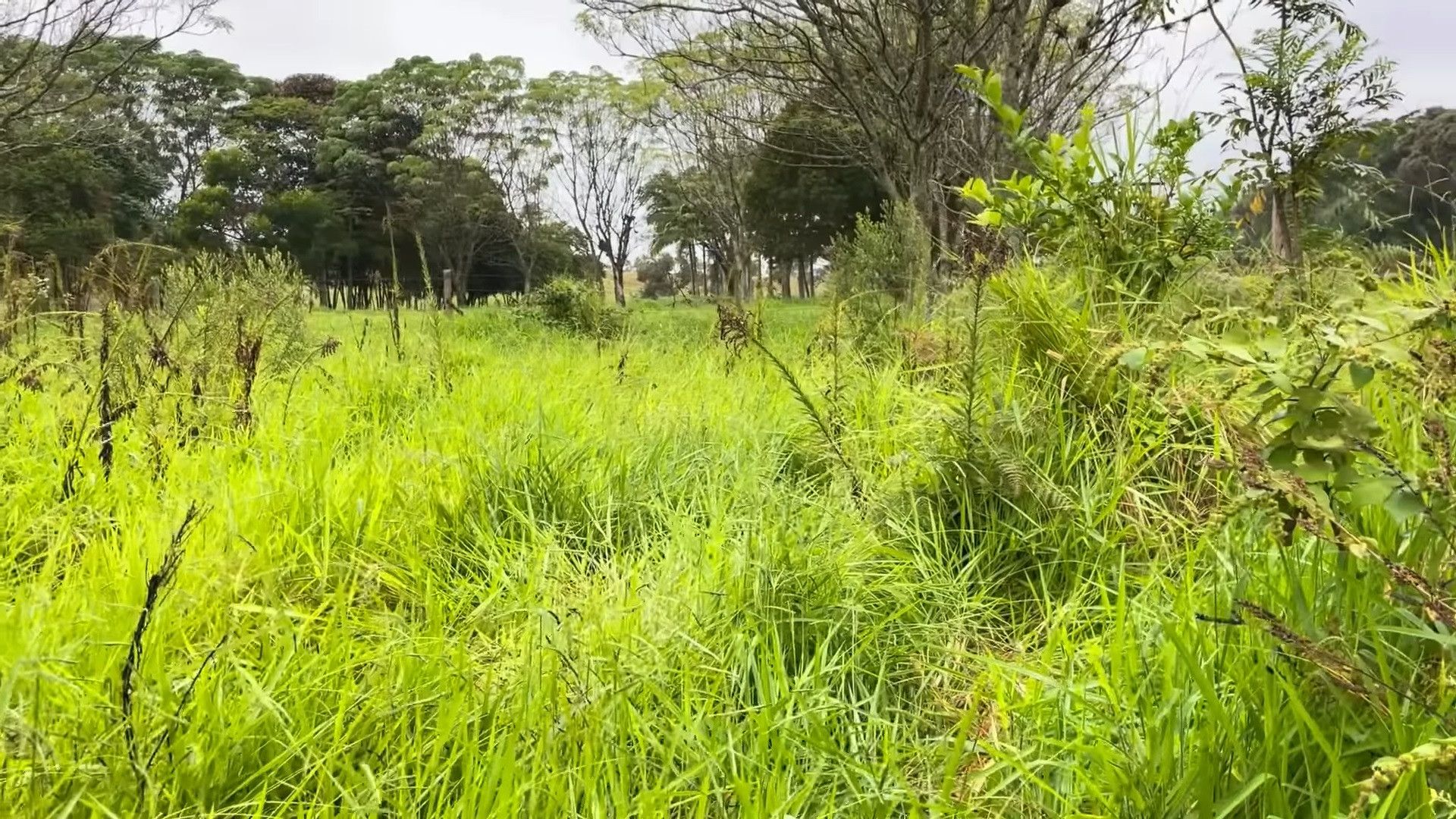 Chácara de 4.400 m² em Torres, RS