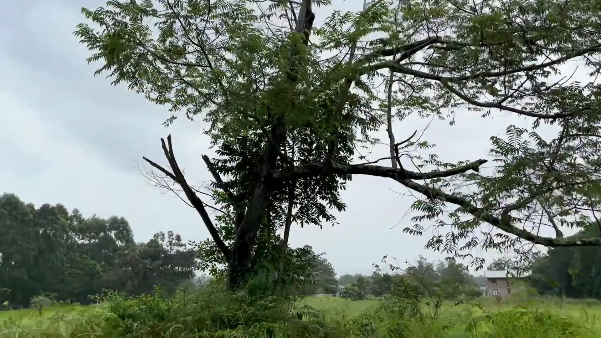 Chácara de 4.400 m² em Torres, RS