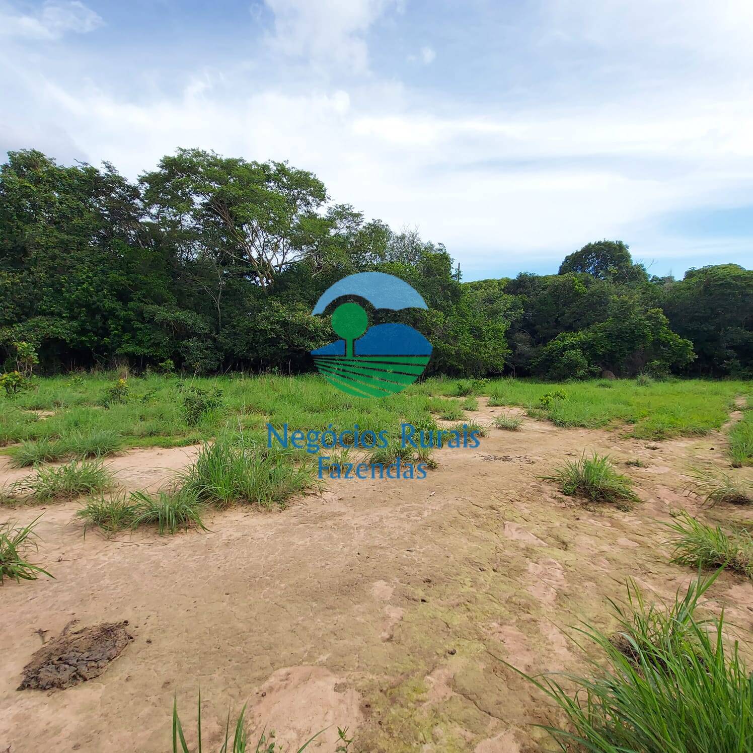 Fazenda de 639 ha em Santa Rosa do Tocantins, TO