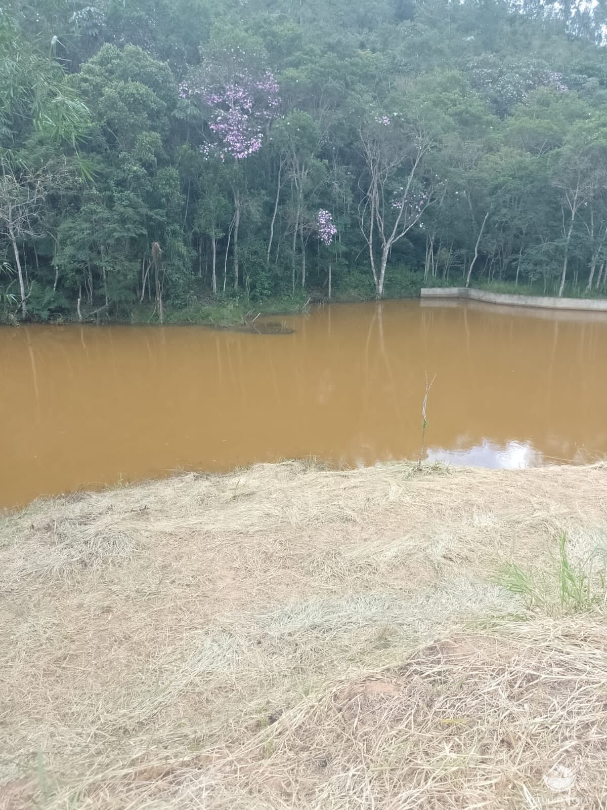 Sítio de 9 ha em Igaratá, SP