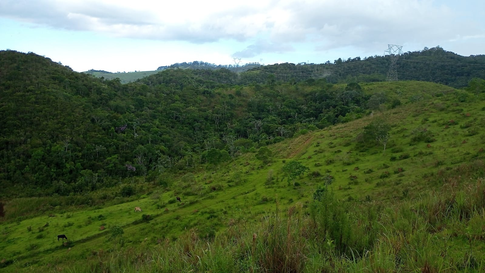 Terreno de 90 ha em São José dos Campos, SP