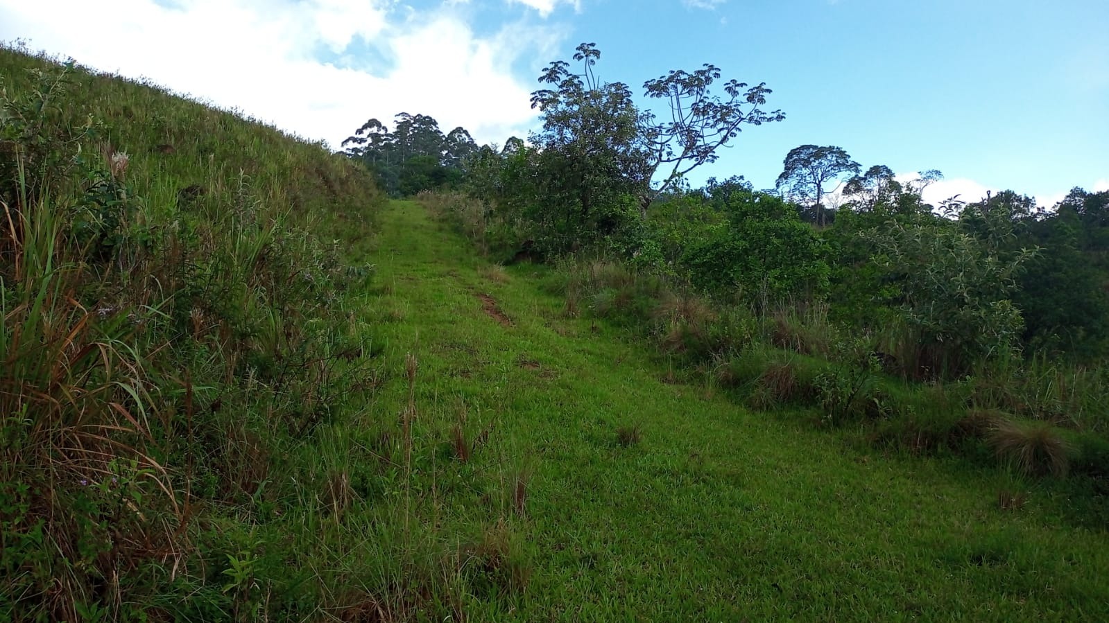 Terreno de 90 ha em São José dos Campos, SP