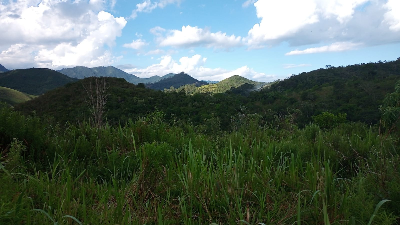 Terreno de 90 ha em São José dos Campos, SP