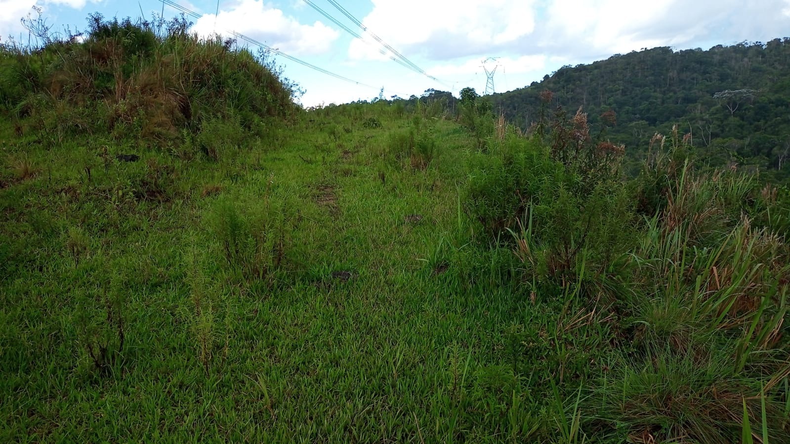 Terreno de 90 ha em São José dos Campos, SP