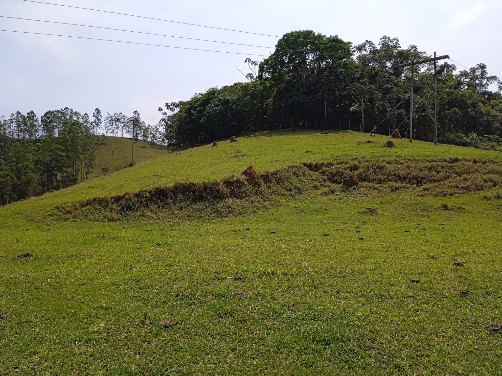 Terreno de 12 ha em Paraibuna, SP