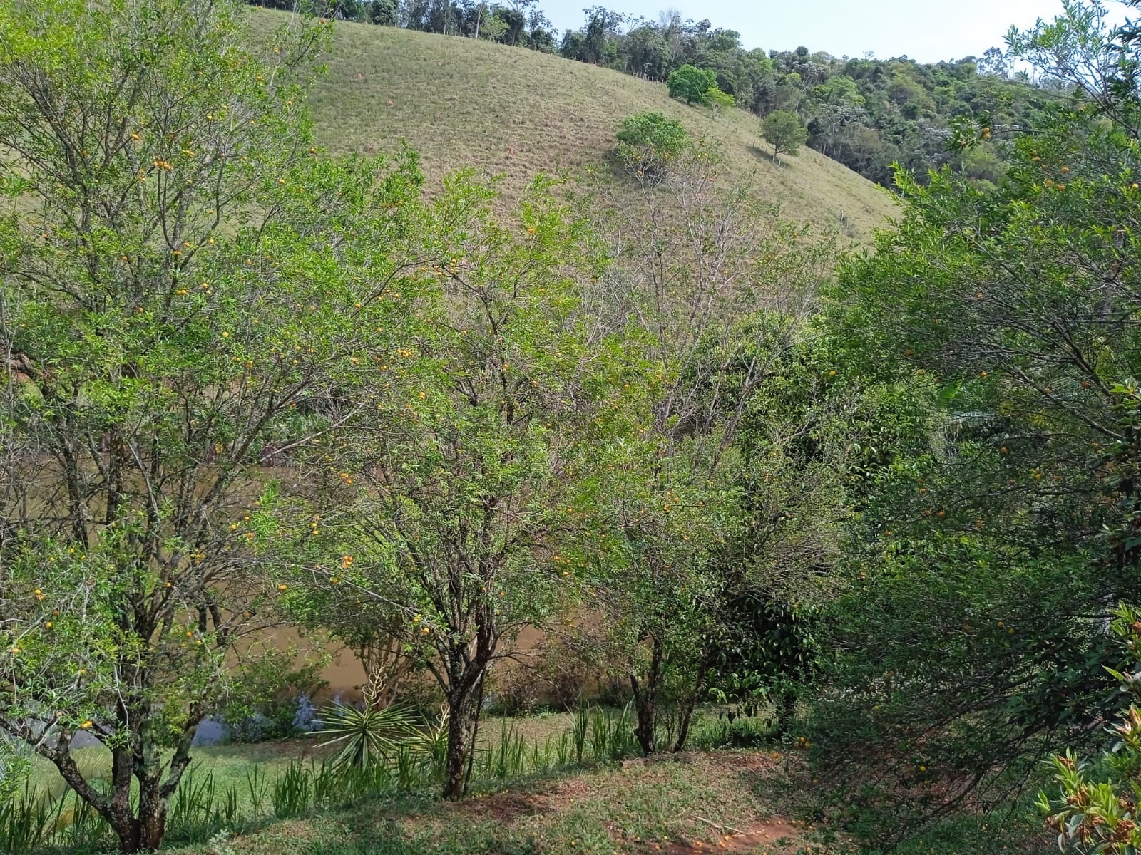 Terreno de 12 ha em Paraibuna, SP