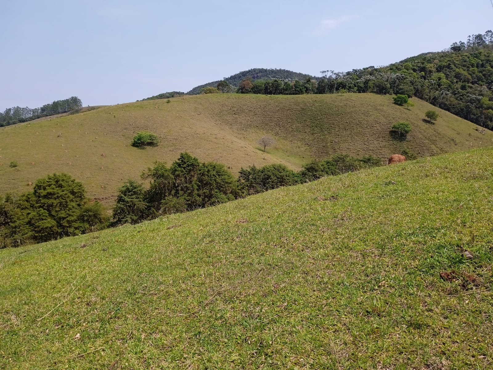 Terreno de 12 ha em Paraibuna, SP