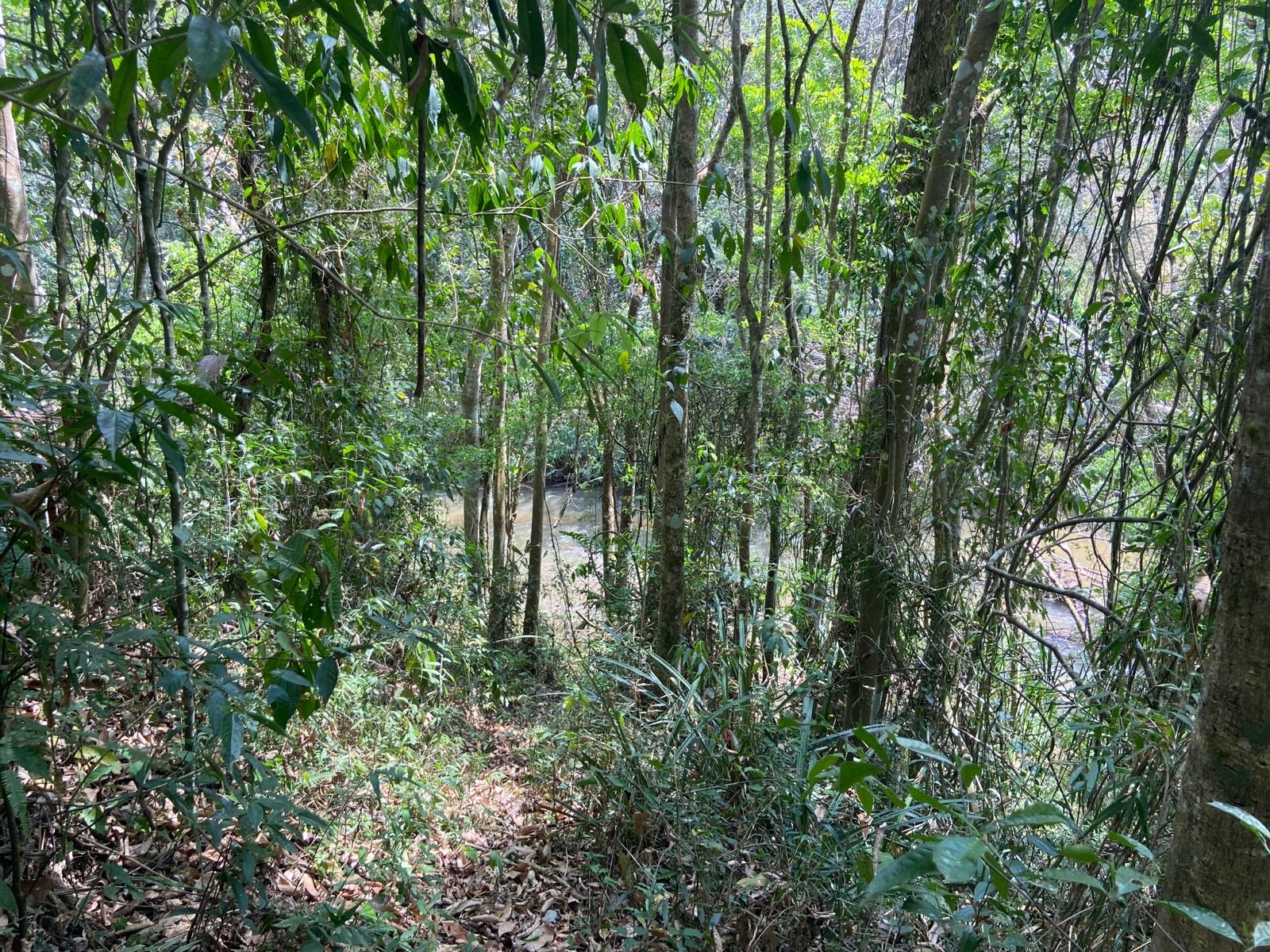 Chácara de 1 ha em Monteiro Lobato, SP