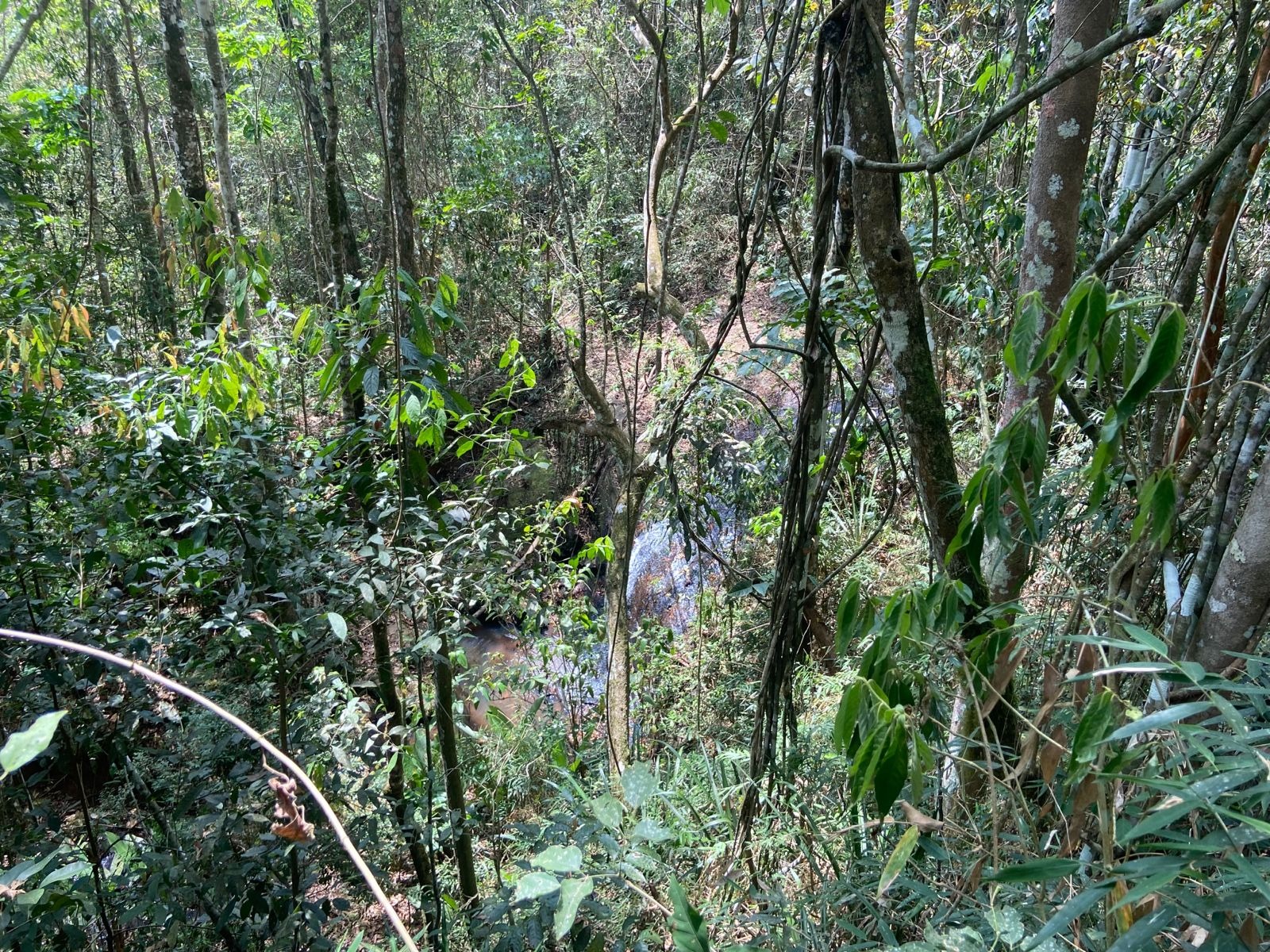 Chácara de 1 ha em Monteiro Lobato, SP