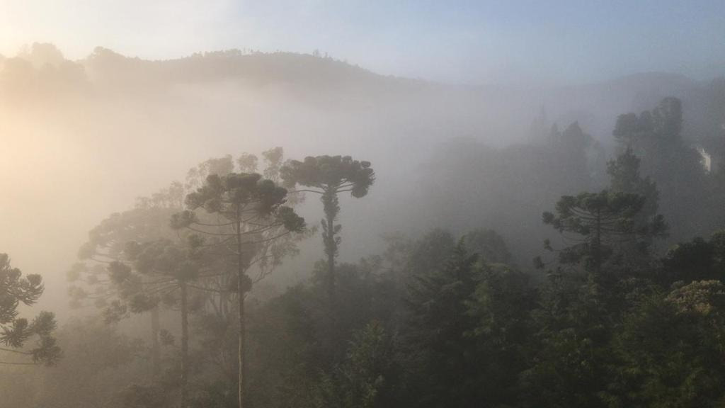 Chácara de 2.920 m² em Campos do Jordão, SP