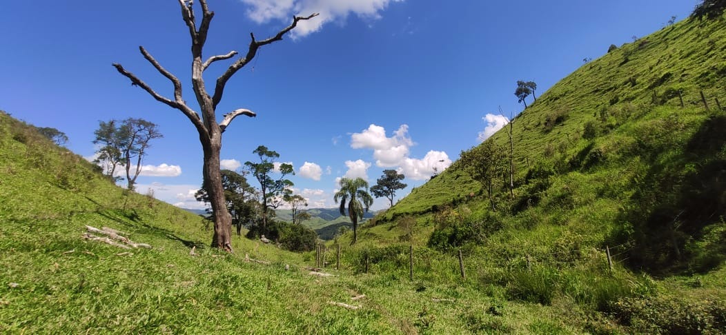 Fazenda de 109 ha em São Luiz do Paraitinga, SP