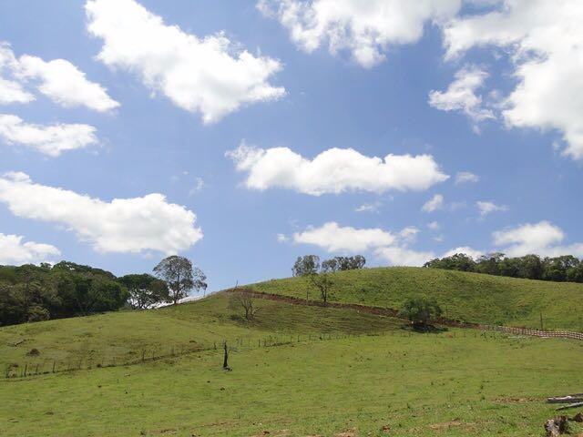 Fazenda de 290 ha em Lambari, MG