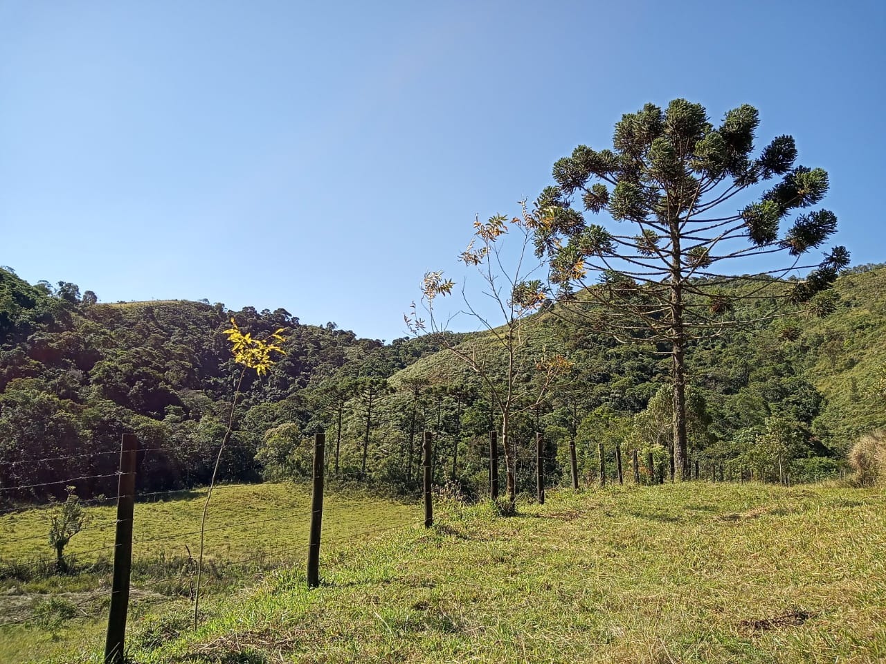 Sítio de 85 ha em São José dos Campos, SP