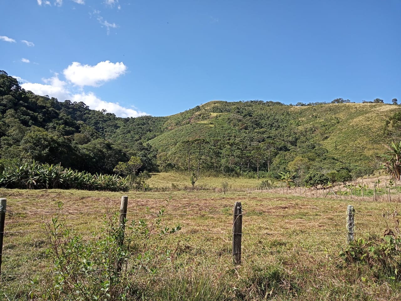 Sítio de 85 ha em São José dos Campos, SP