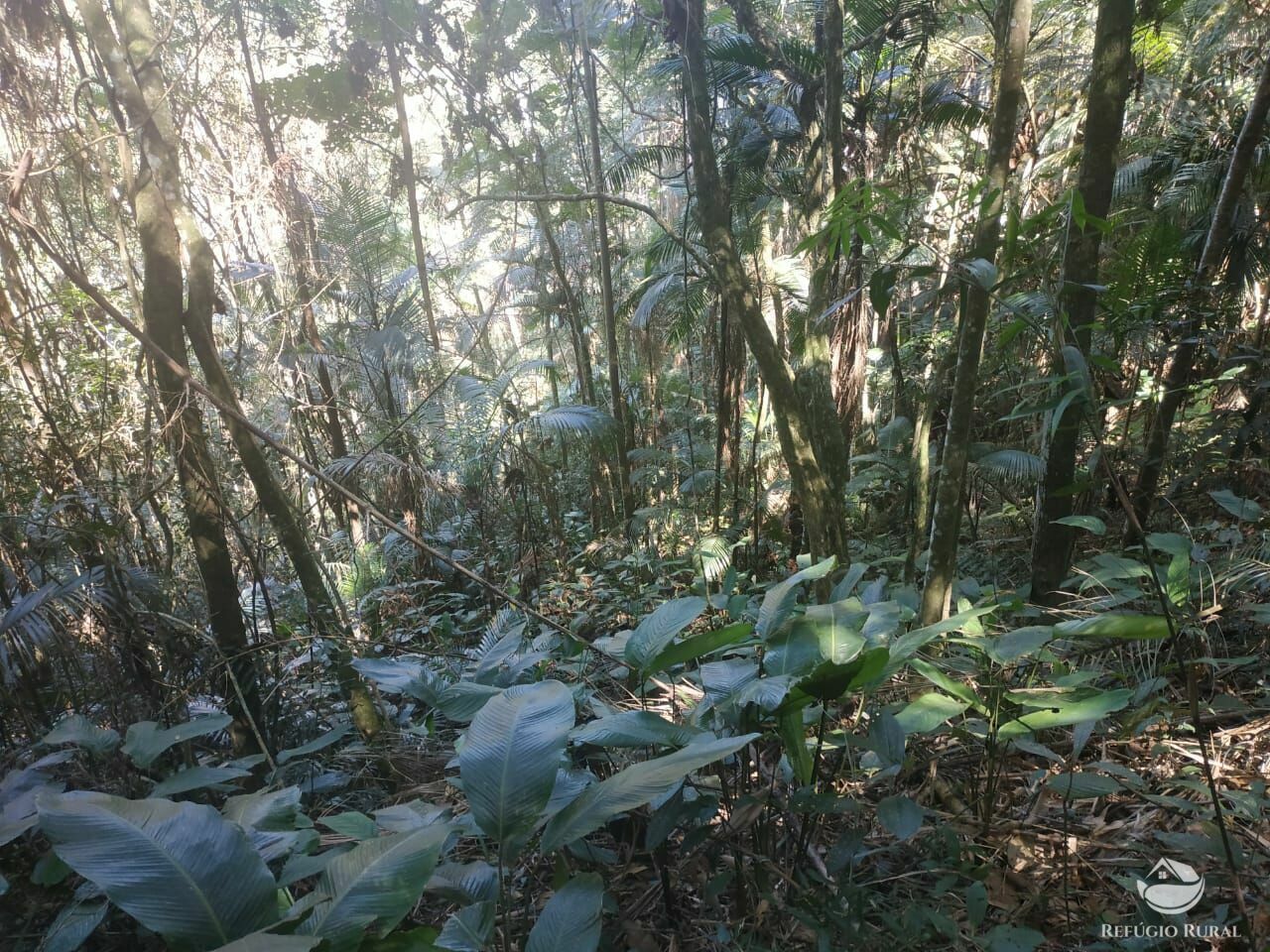 Sítio de 4 ha em São José dos Campos, SP