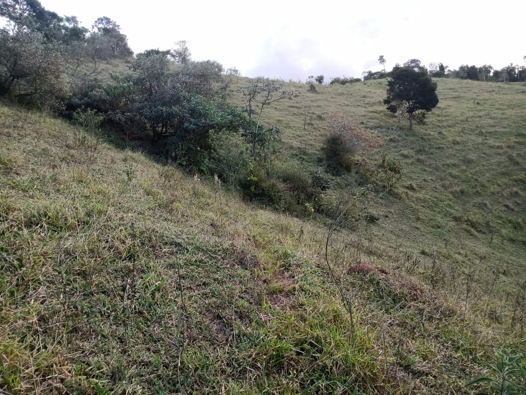 Terreno de 19 ha em Jacareí, SP