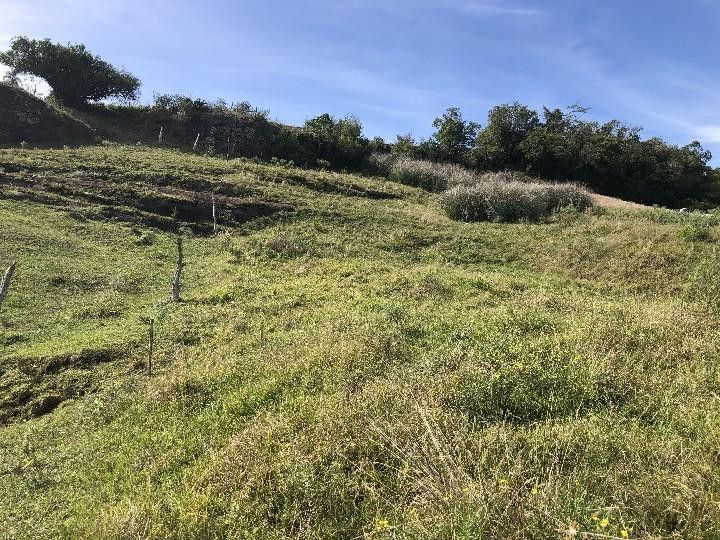 Sítio de 2 ha em Santo Antônio da Patrulha, RS