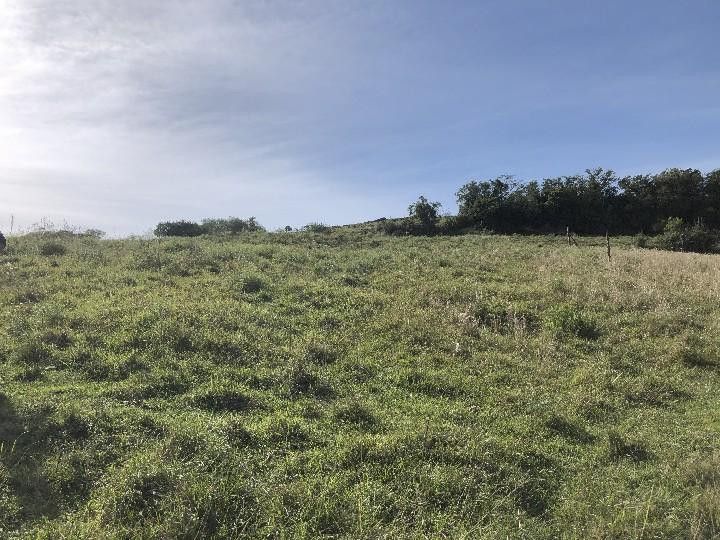 Sítio de 2 ha em Santo Antônio da Patrulha, RS