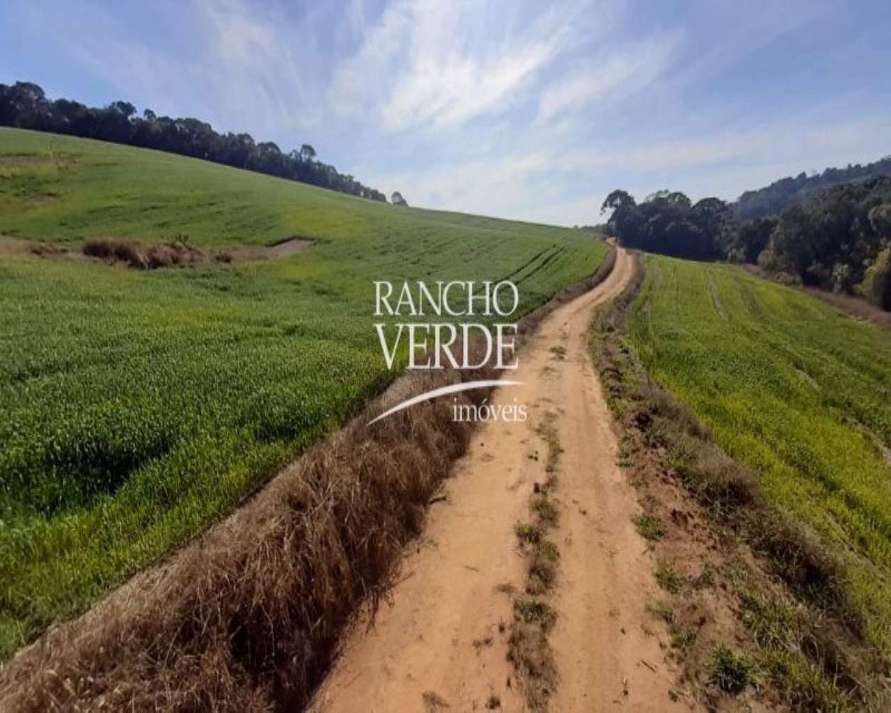 Fazenda de 290 ha em Poço Fundo, MG