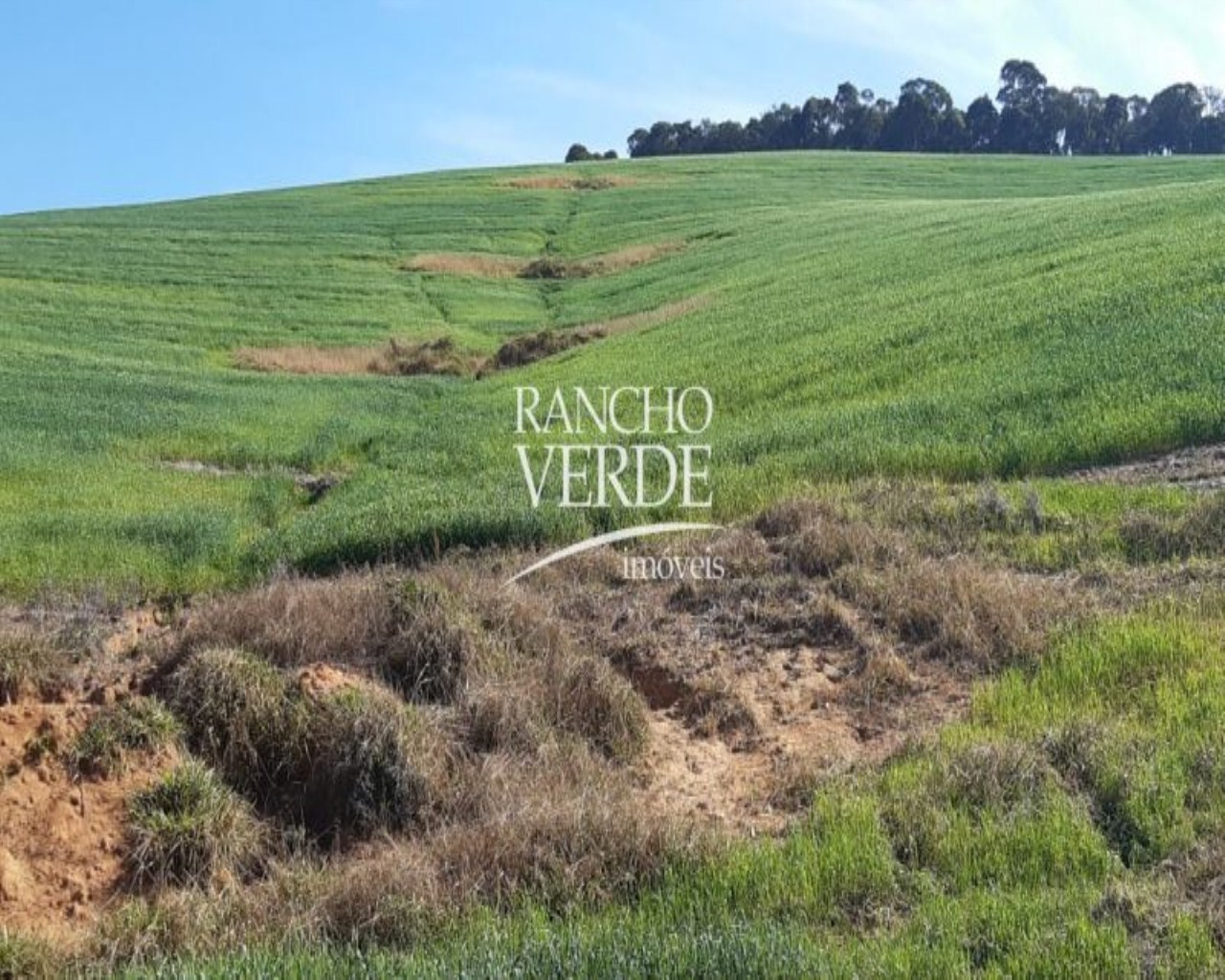 Fazenda de 290 ha em Poço Fundo, MG