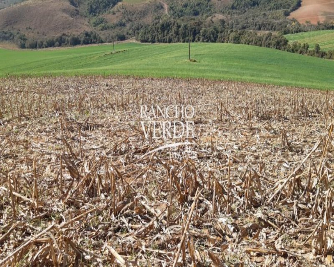 Fazenda de 290 ha em Poço Fundo, MG