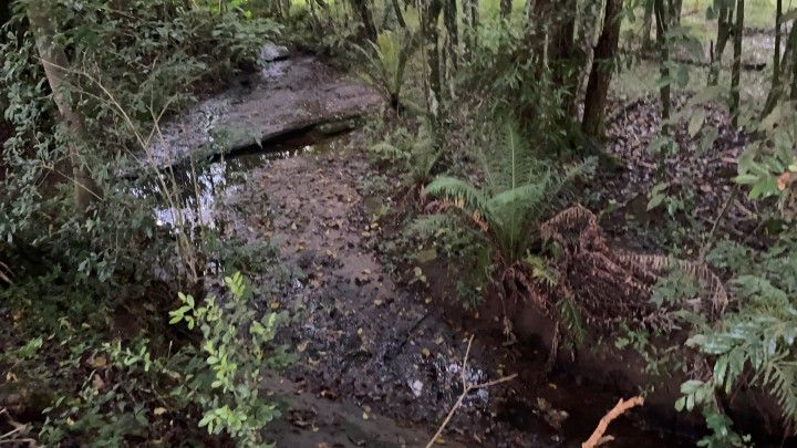 Chácara de 4.800 m² em Taquara, RS