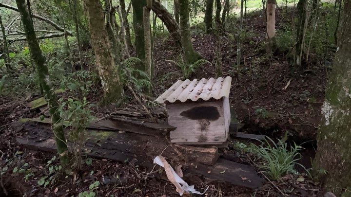 Chácara de 4.800 m² em Taquara, RS