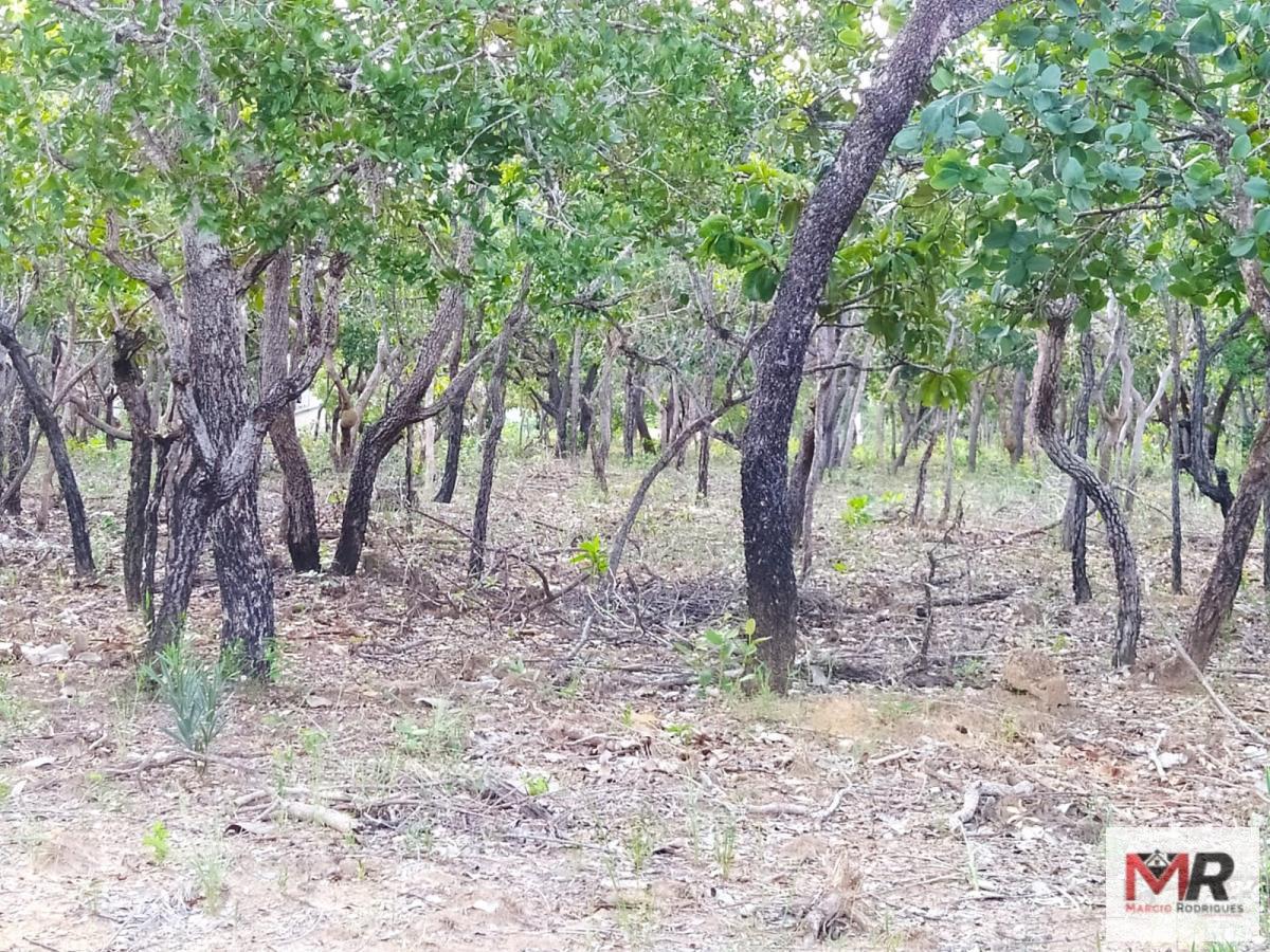 Sítio de 6 ha em Três Marias, MG