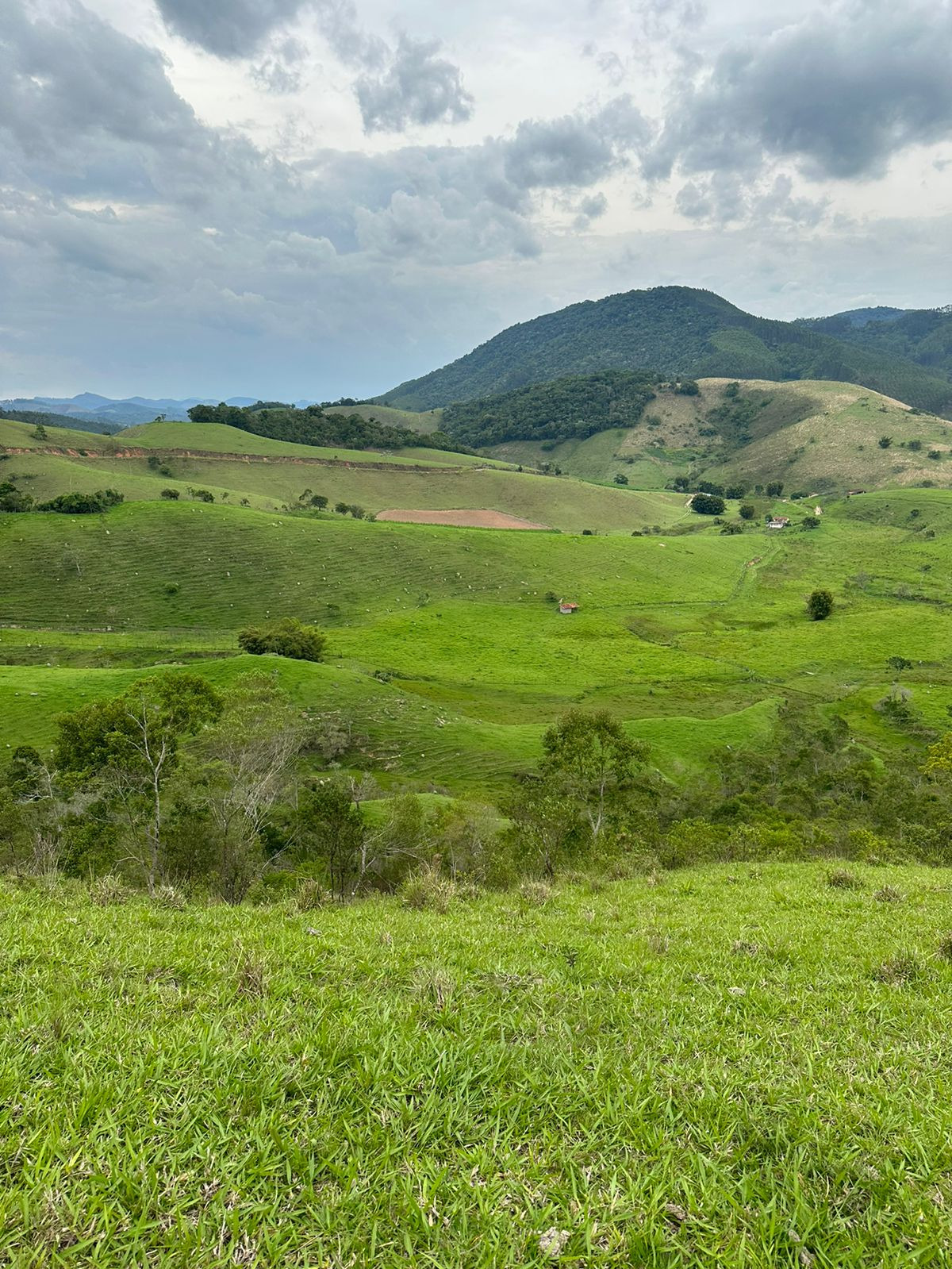 Sítio de 73 ha em Natividade da Serra, SP