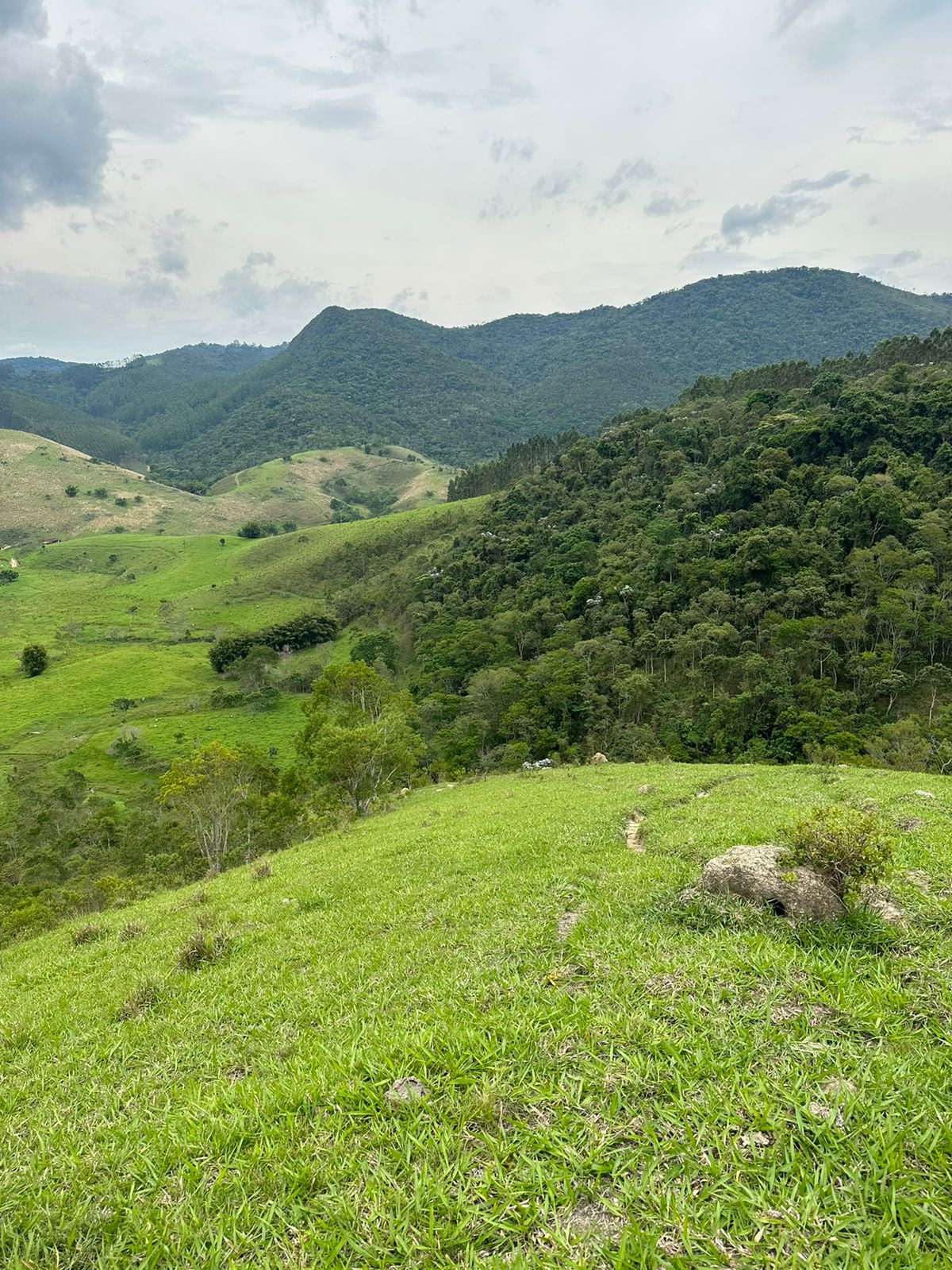 Sítio de 73 ha em Natividade da Serra, SP