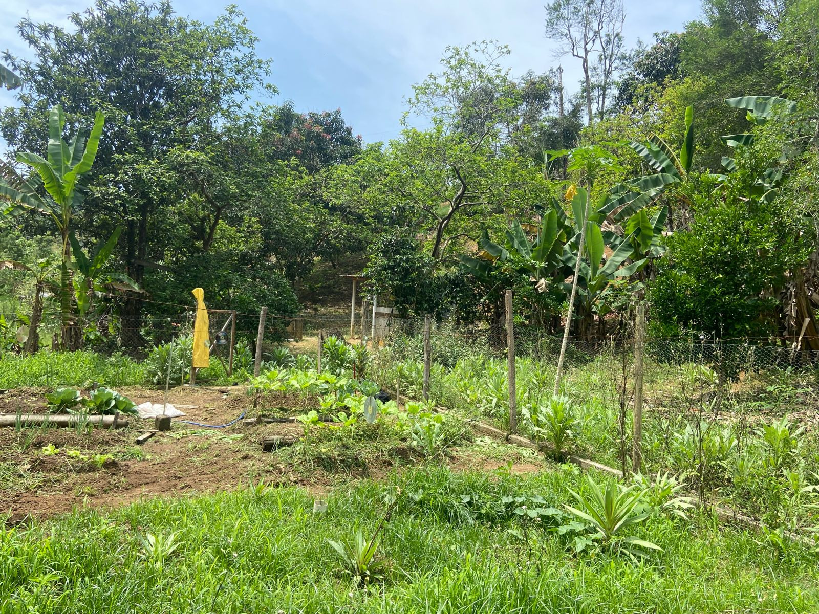 Chácara de 3.600 m² em São José dos Campos, SP