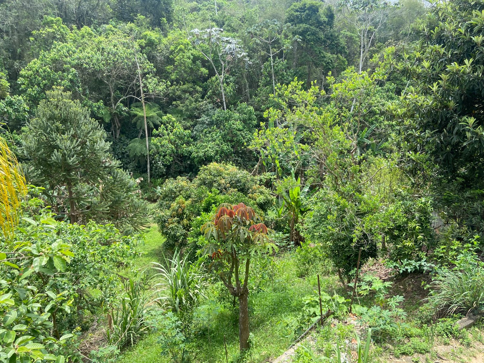 Chácara de 3.600 m² em São José dos Campos, SP