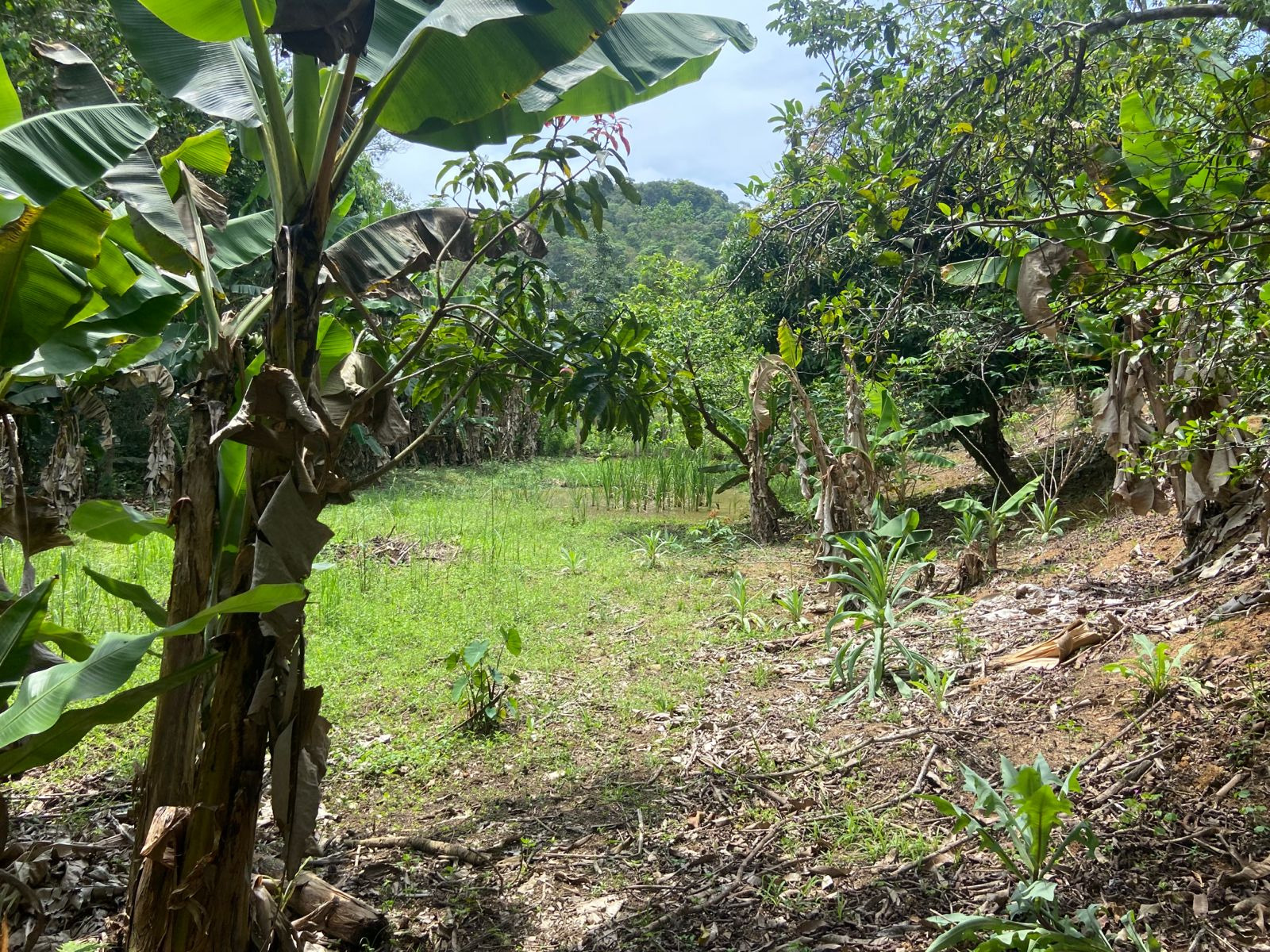 Chácara de 3.600 m² em São José dos Campos, SP