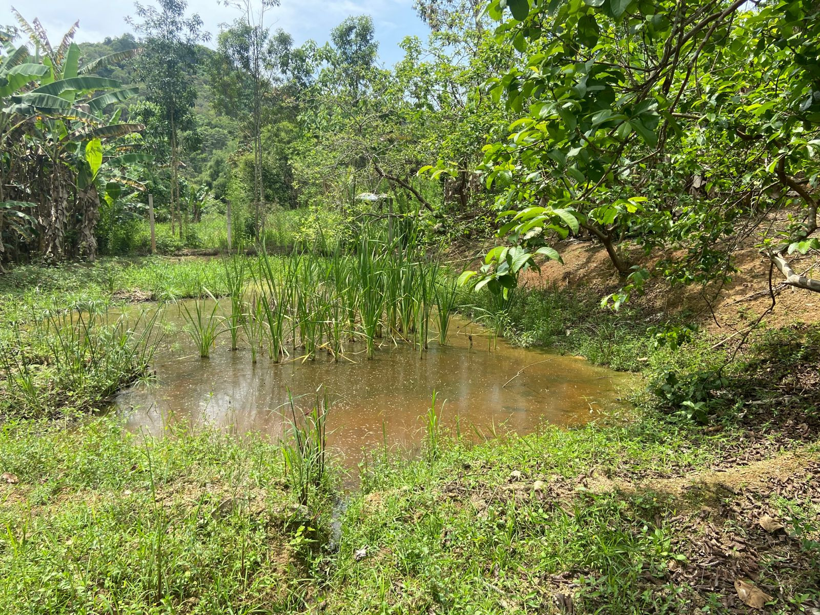 Chácara de 3.600 m² em São José dos Campos, SP