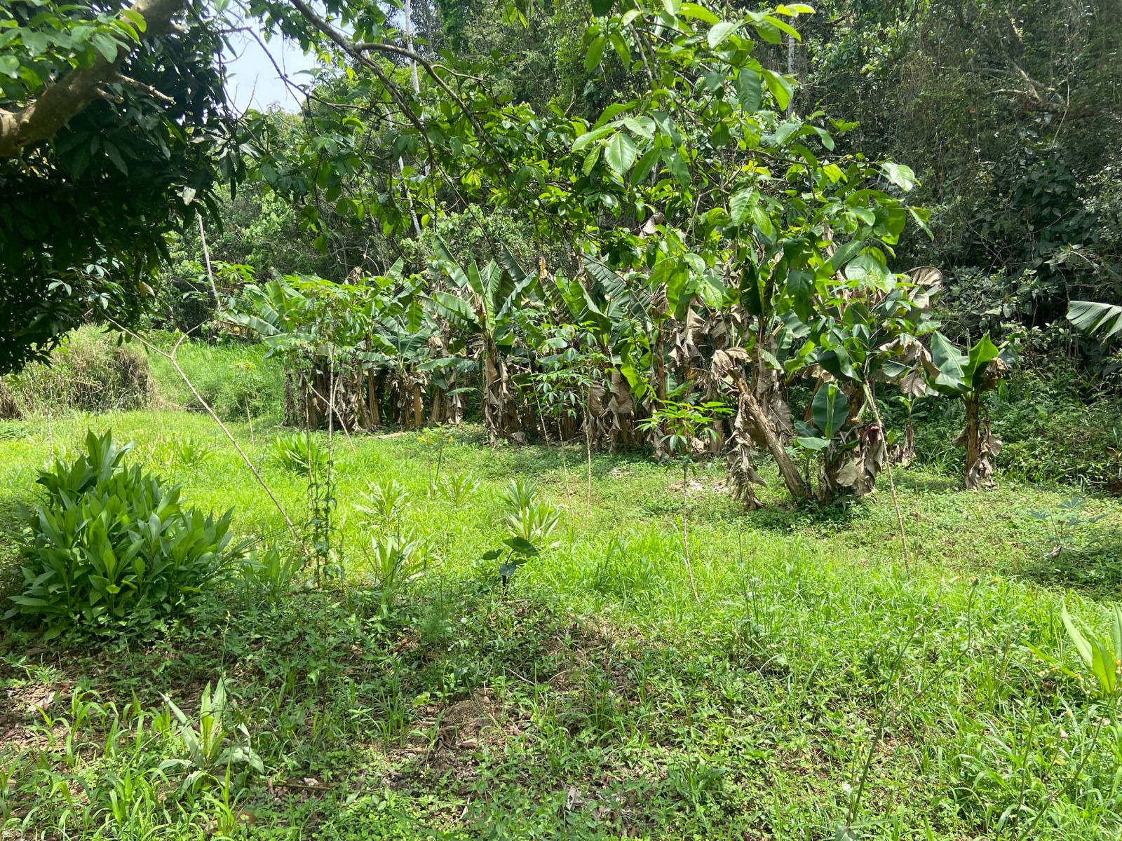 Chácara de 3.600 m² em São José dos Campos, SP