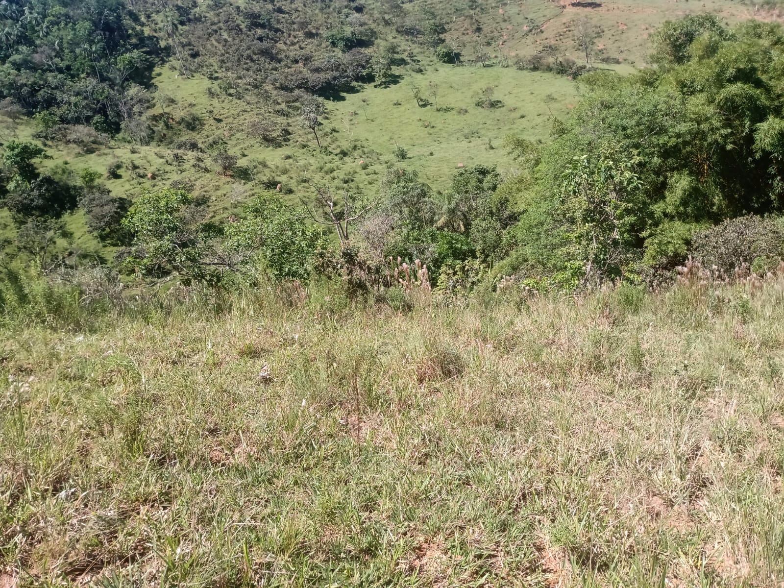 Terreno de 22 ha em São José dos Campos, SP