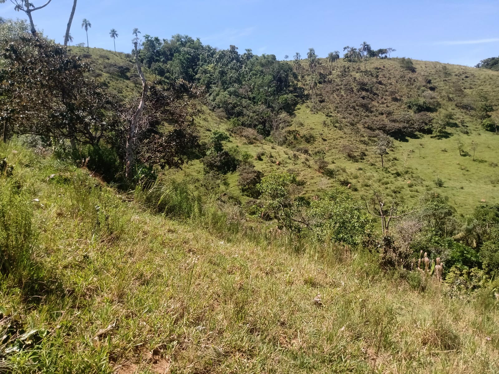 Terreno de 22 ha em São José dos Campos, SP