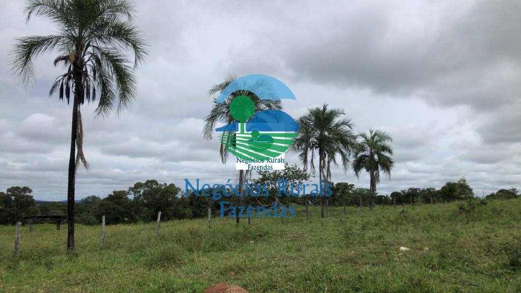 Fazenda de 1.180 ha em Araguapaz, GO