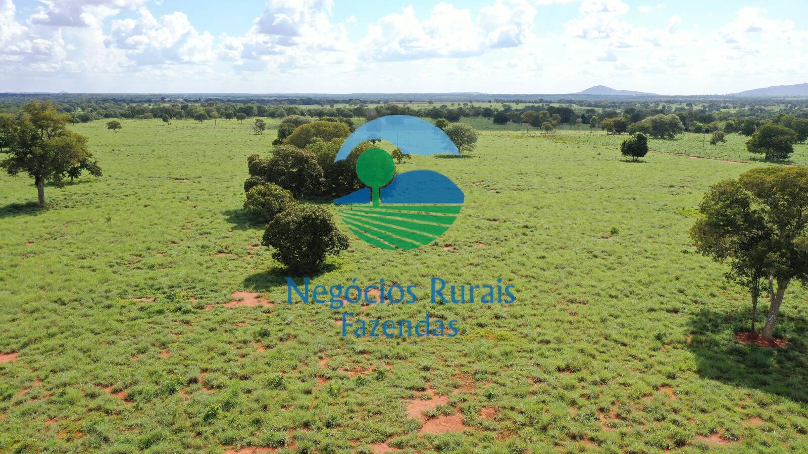 Fazenda de 1.180 ha em Araguapaz, GO