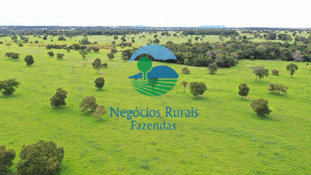 Fazenda de 1.180 ha em Araguapaz, GO