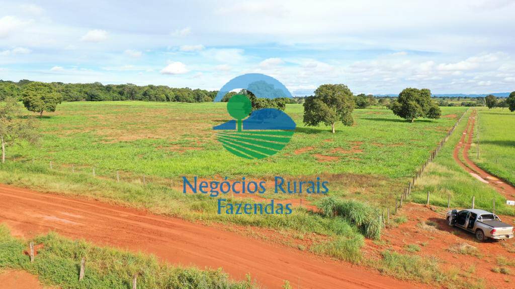 Fazenda de 1.180 ha em Araguapaz, GO