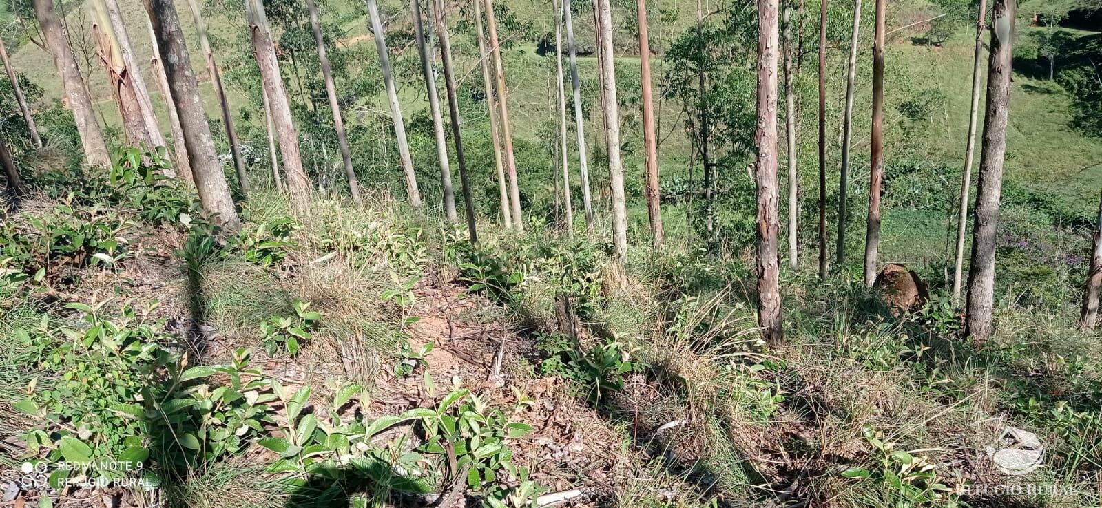 Sítio de 4 ha em São José dos Campos, SP