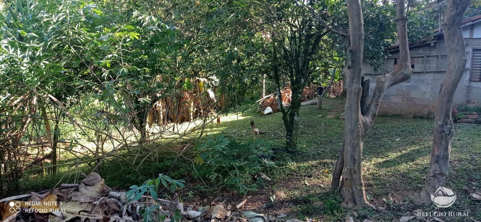 Sítio de 4 ha em São José dos Campos, SP