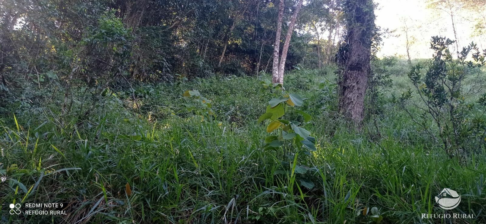 Sítio de 4 ha em São José dos Campos, SP